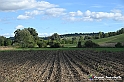 VBS_5276 - La solita strada... il grano da crescere, i campi da arare...